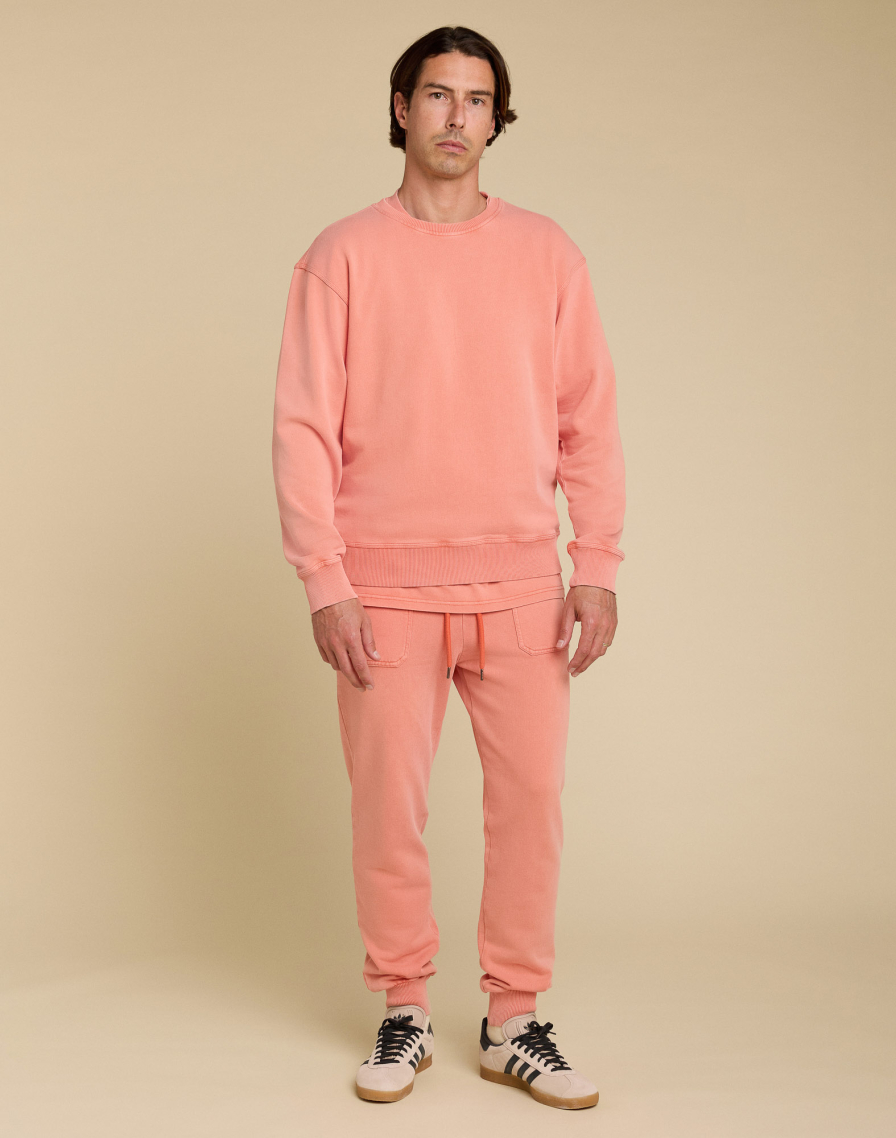 Men's sweat CREW FLAMINGO