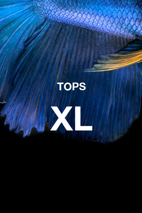 XL